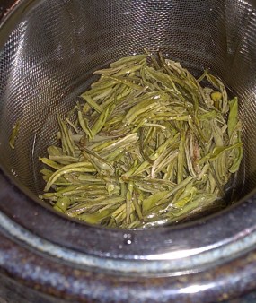 Infusing tea leaves.