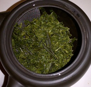 Sencha Overture wet leaves