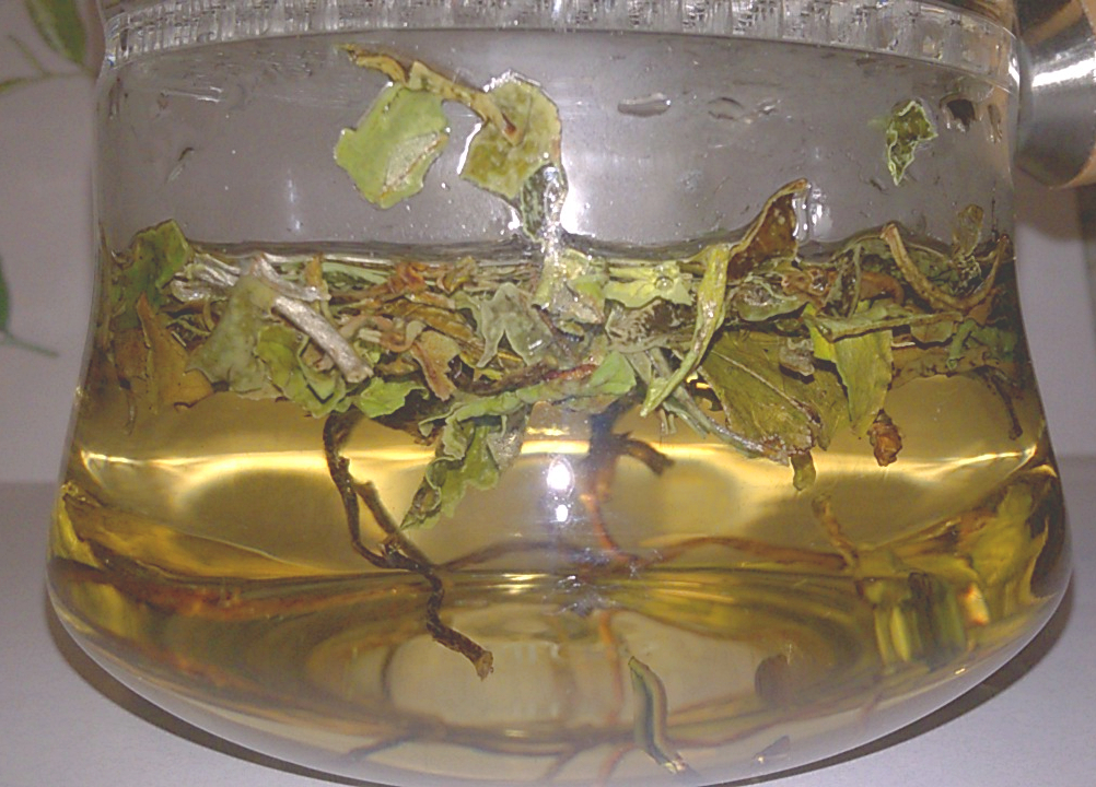 White Peony from Rishi Infusing
