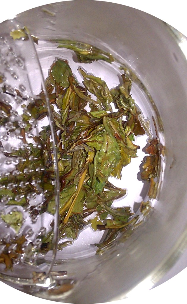 White Peony from Rishi Wet Tea